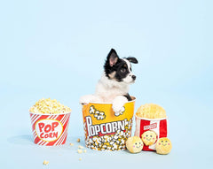 ZippyPaws Burrow refill Miniz to extend interactive play sessions