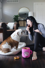 ZippyPaws Burrow refill Miniz illustrating refillable toy system.