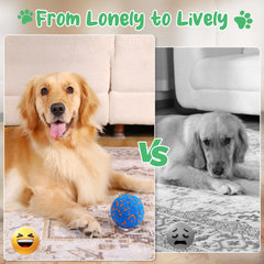 Zizimoko vibrating ball in action to stimulate chase and exercise