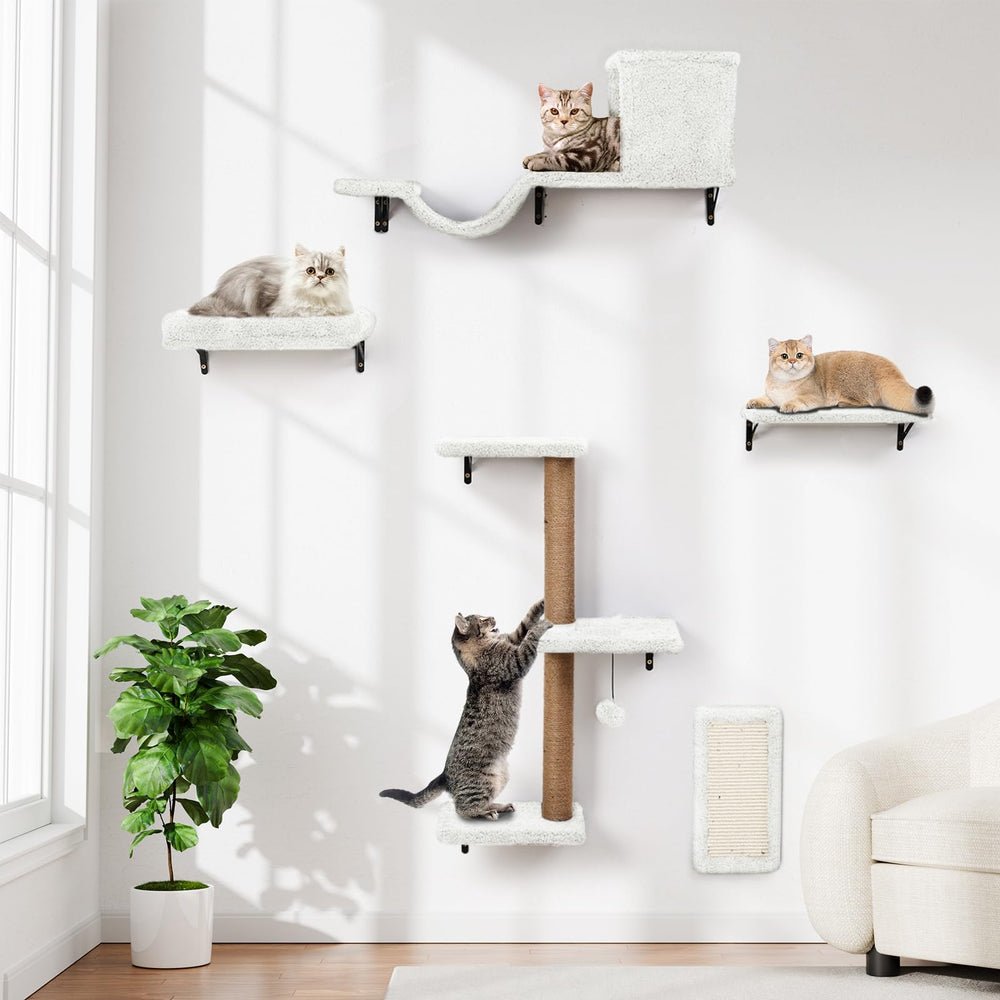 ZLAFM 5-in-1 cat wall shelves assembly shows quick setup for an indoor playground