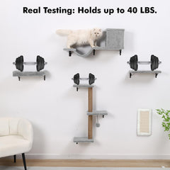 ZLAFM peach-velvet-padding highlights soft nap surfaces for cats.