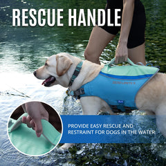 ZLX dog life jacket D-ring leash attachment for safer boating
