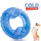 ZNOKA Arctic Freeze Fetch Toy with ice ring for cooling chew sessions.