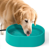 ZOCHIXEL 3.7L heated water bowl for outdoor use keeps pets hydrated in winter.