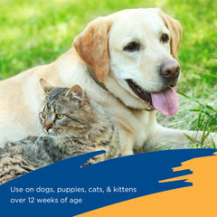 Zodiac Flea & Tick Spray applied to a dog for preventive care.