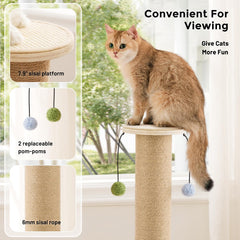 ZOMISIA solid wood base emphasizes stability for energetic indoor cats