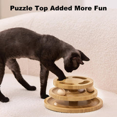 ZOMISIA cat ball track toy — promotes active play and hunting-style engagement in a safe space.