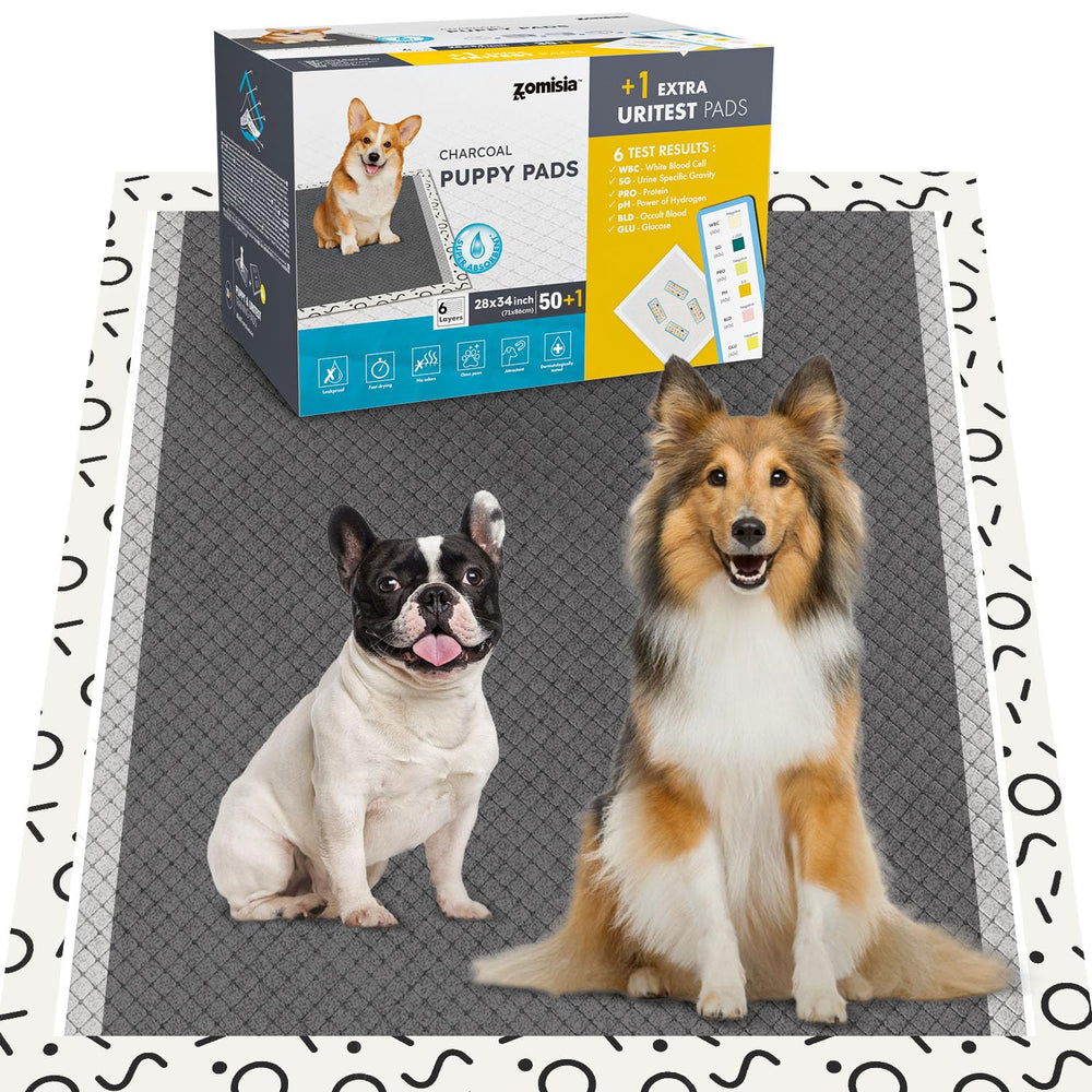 ZOMISIA Charcoal Puppy Pee Pad XL overview shows large size and odor control.