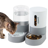 ZOMISIA gravity cat feeder demonstrates hands-off meals for busy households