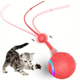 Zonopy Interactive Cat Toy Ball speeds across carpet for energetic indoor play.