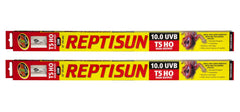 Zoo Med T5 HO ReptiSun 10.0 UVB lamp 2-pack provides strong UVB for larger terrariums.