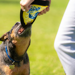 ZooBee easy-grip ribbed surface for accurate throws.
