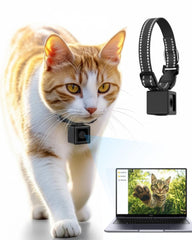 ZoomaraKam cat camera collar worn by a cat capturing daily moments