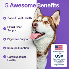 ZOOMEZEN dog chews in close-up showing joint comfort and mobility support.