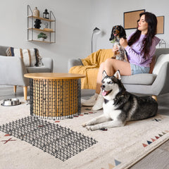 Zopeal cat repellent mat spikes closeup highlights gentle, non-scratch deterrent for pets.