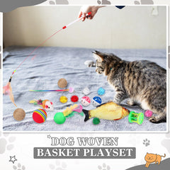 Zopeal flash balls attract paws and attention during playtime.