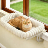 Zoratoo Cloud-Cuddle window perch assembled for sturdy, sunlit cat lounging.