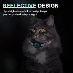 ZOWPET reflective strip emphasizes visibility during night walks