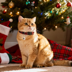 ZOWPET adjustable strap close-up highlighting lightweight comfort.