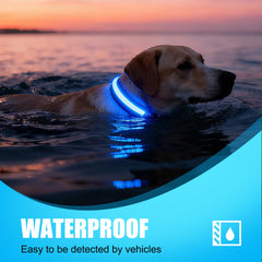 ZOWPET LED dog collar blue 360-degree glow enhances visibility at dusk.