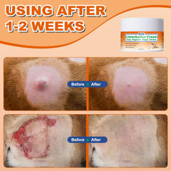 ZOXY Lime Sulfur Cream applied on cat patch for ringworm-like symptoms