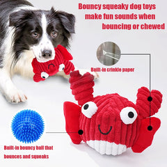 Zrbtk toy with built-in ball inside enhances fetch and sustained engagement.