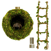 ZREVSB Jumping Spider Hideout moss hideout offers cozy shelter for restful spider downtime.