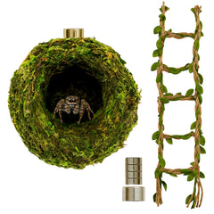 ZREVSB Jumping Spider Hideout moss hideout offers cozy shelter for restful spider downtime.