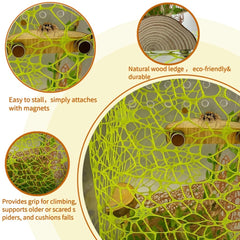 ZREVSB natural décor set — multi-functional habitat accessories for enriching spider play