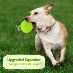 ZRIFAQESW interactive chewer ball ready for fetch and chase.