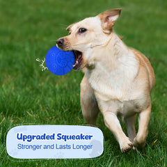 zrifaquesw interactive dog ball high bounce supports active games and training