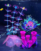 ZtohPyo glowing feather coral adds ambient motion to aquariums