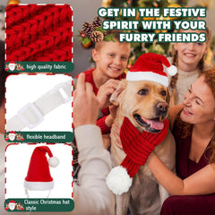 Zubebe dog Christmas outfit worn during a festive moment for photos