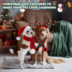 Zubebe red long dog scarf offers dramatic warmth and photo-friendly flair