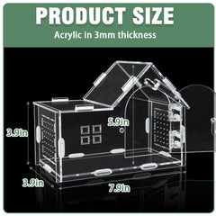 ZUIFIANLE jumping spider enclosure classic clear variant offers 360° visibility for observing behaviors