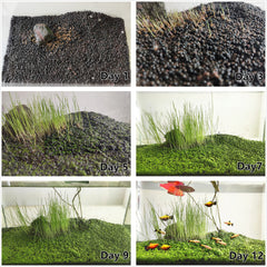 ZUQOVI 3 Aquarium Plants Set short-hair adds texture in mid-water zones