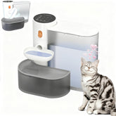 zylarious cat water fountain cordless setup enables flexible placement for hydration.