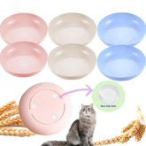 ZYUTONG 6-pack cat bowls with non-slip feet keep meals steady during feeding.