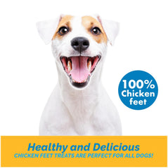123 Treats single-ingredient label highlights pure chicken feet for clean, simple snacks.