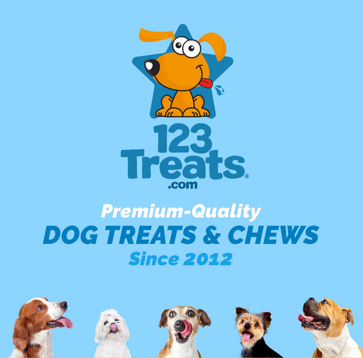 123 Treats pig ears nutrition closeup—omega fatty acids for coat health
