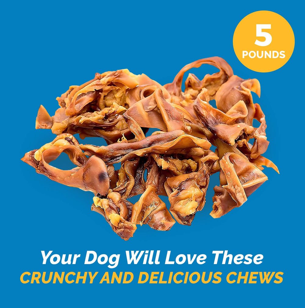 123 Treats pig ears raw appearance—soft cartilage wrapped in skin