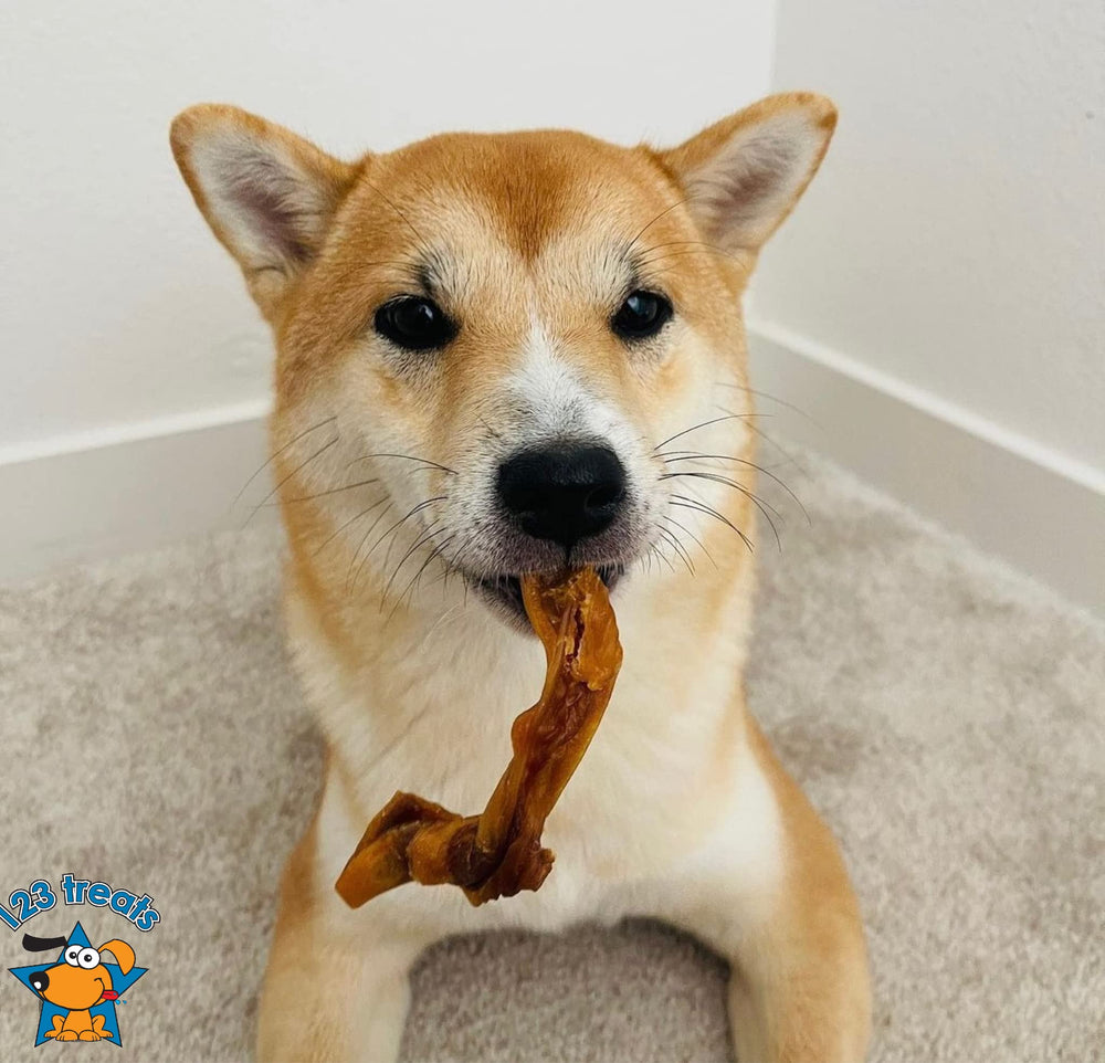 123 Treats pig ears safe-chew closeup—soft chew for extended playtime