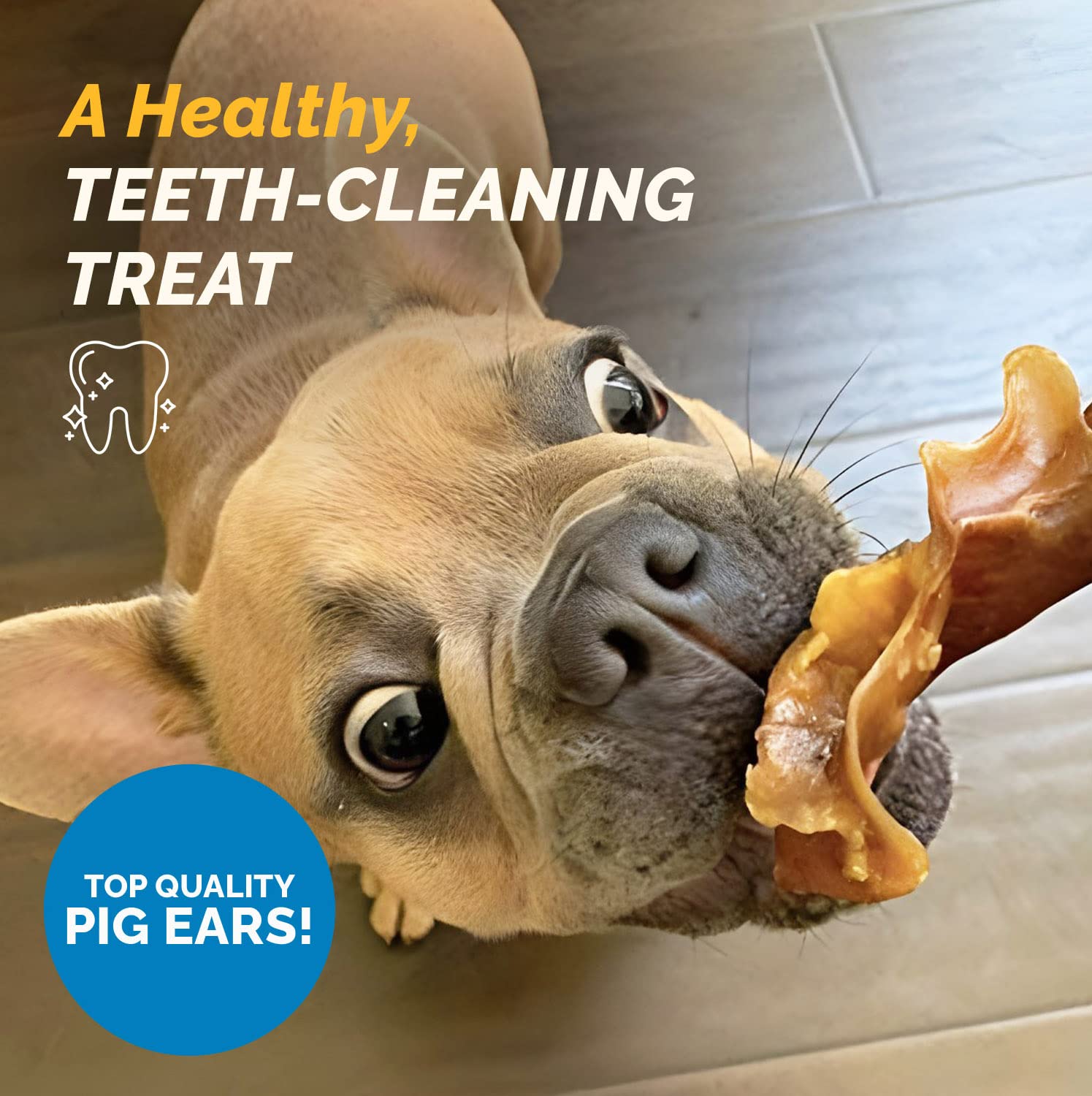 123 Treats pig ears texture closeup—non-splintering safe chew