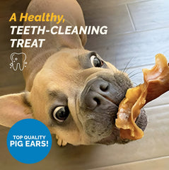 123 Treats pig ears texture closeup—non-splintering safe chew