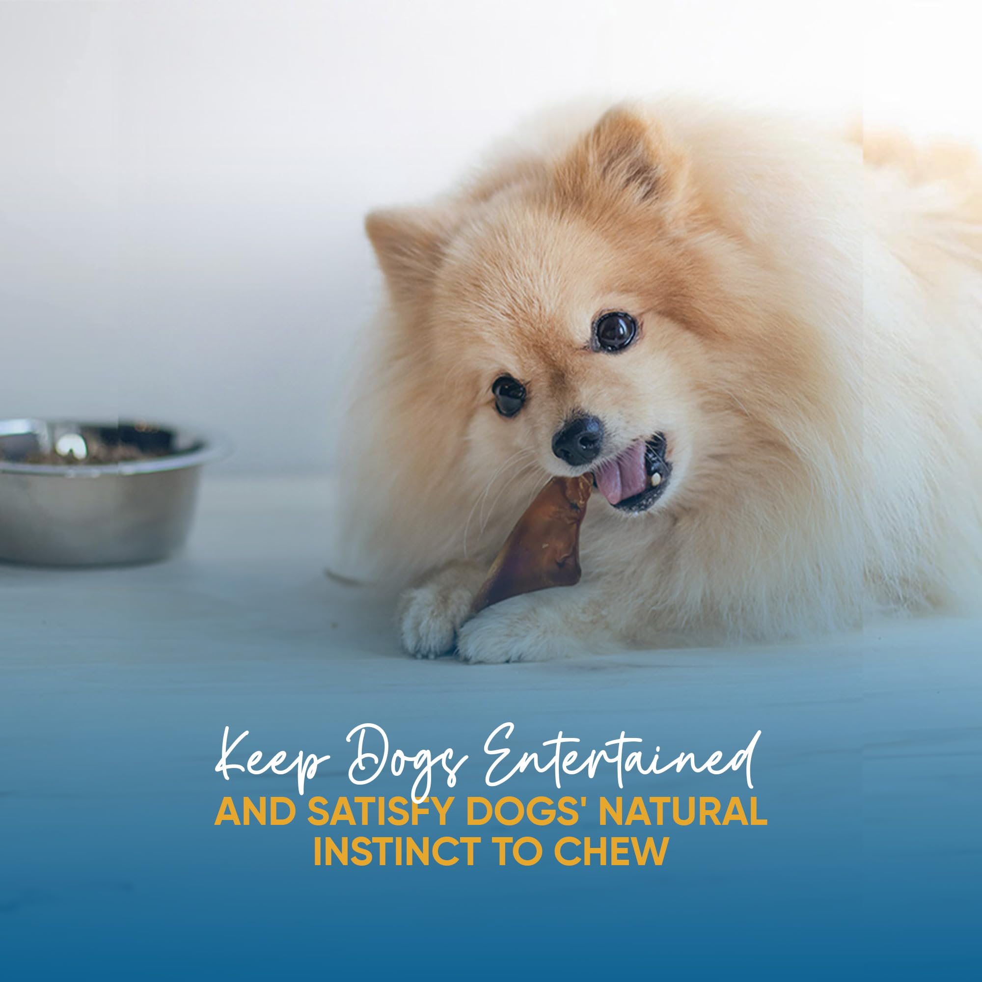 123 Treats dog chews pig ears on display for daily treats and training.