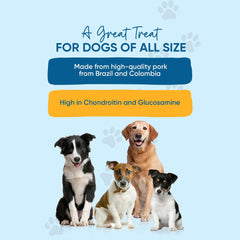 123 Treats pig ears close-up texture highlights grooves for chewing and gum massage.