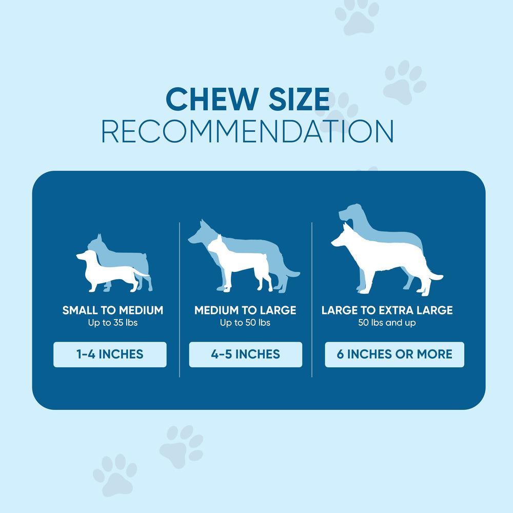 123 Treats pig ears pack 100 feature protein-rich chews for healthy skin.