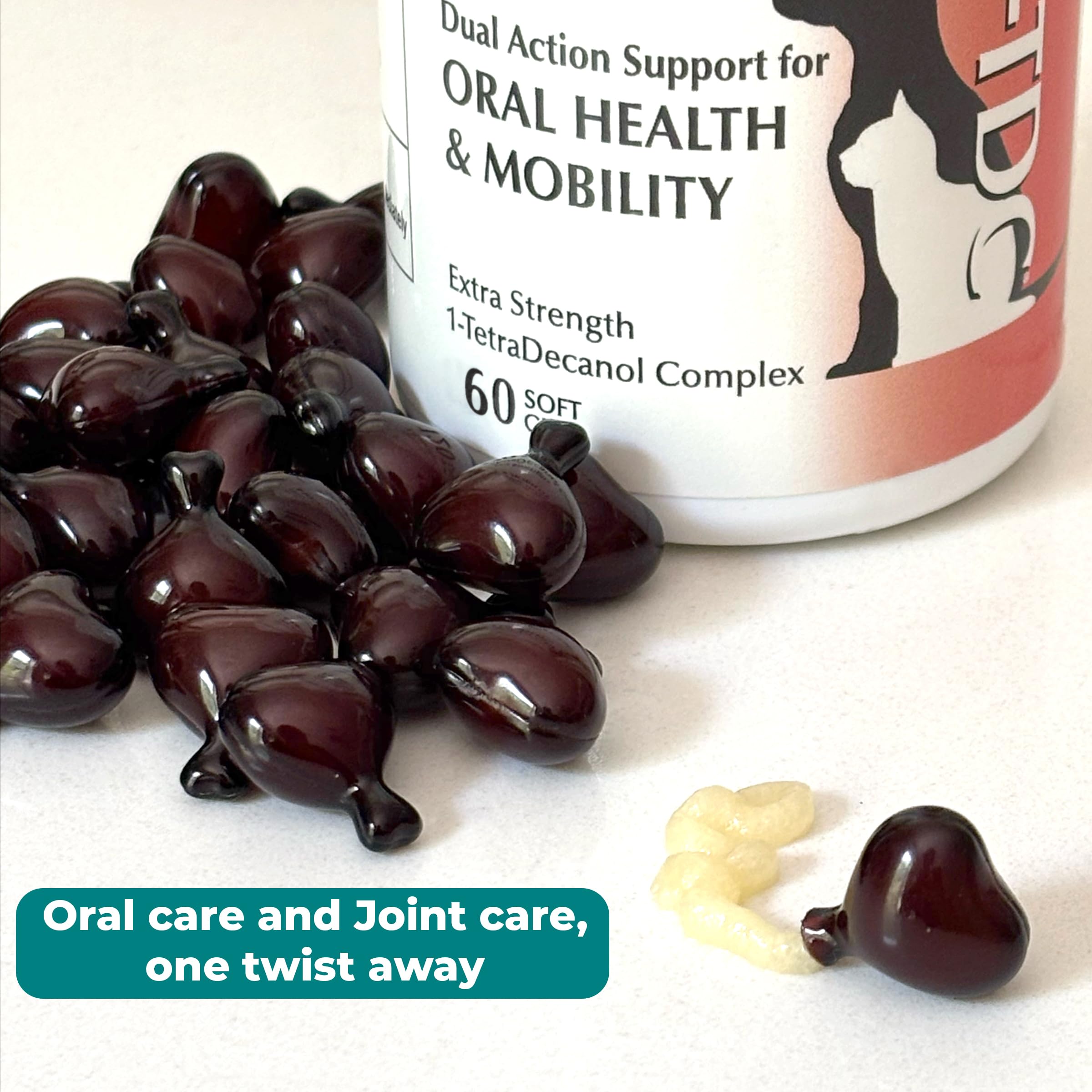 1-TDC WorksSoWell helps large and small breeds maintain mobility during activities.