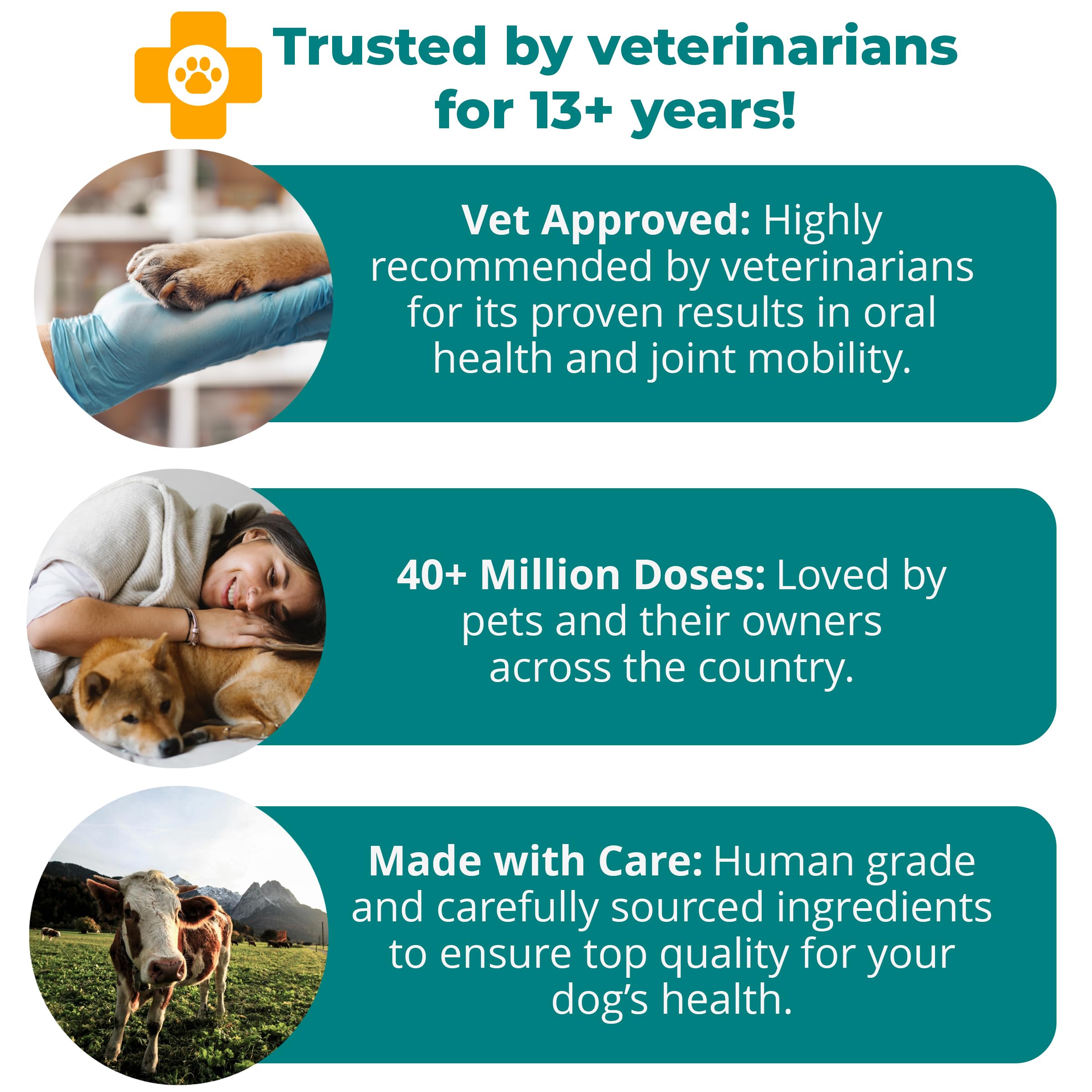 1-TDC WorksSoWell packaging highlights hip and joint benefits for dogs and cats.