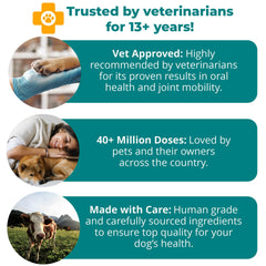 1-TDC WorksSoWell packaging highlights hip and joint benefits for dogs and cats.